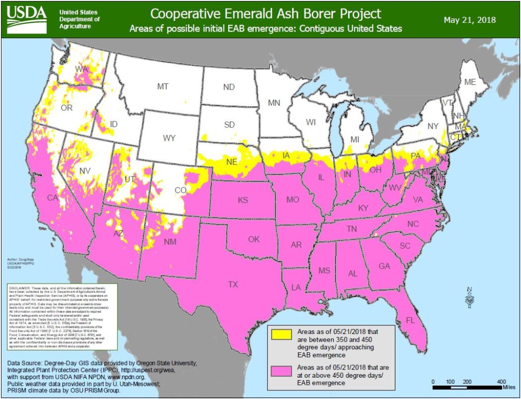 Areas of possible initial EAB emergence. 