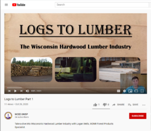 Screen shot of YouTube videos