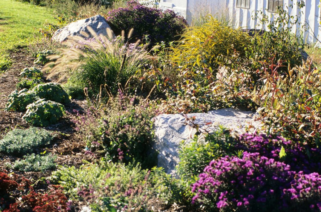 flower garden