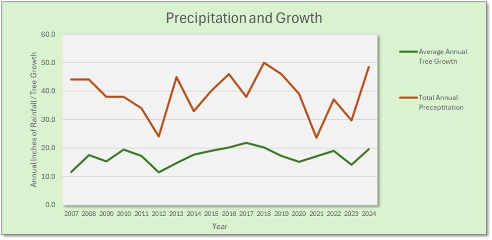graph showing precipitation and growth